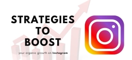 Organic Instagram growth strategies