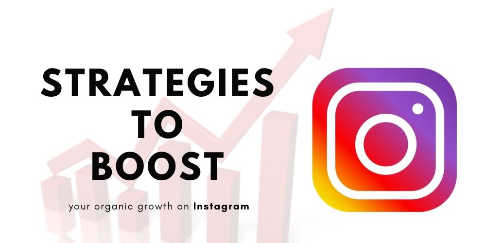 Organic Instagram growth strategies